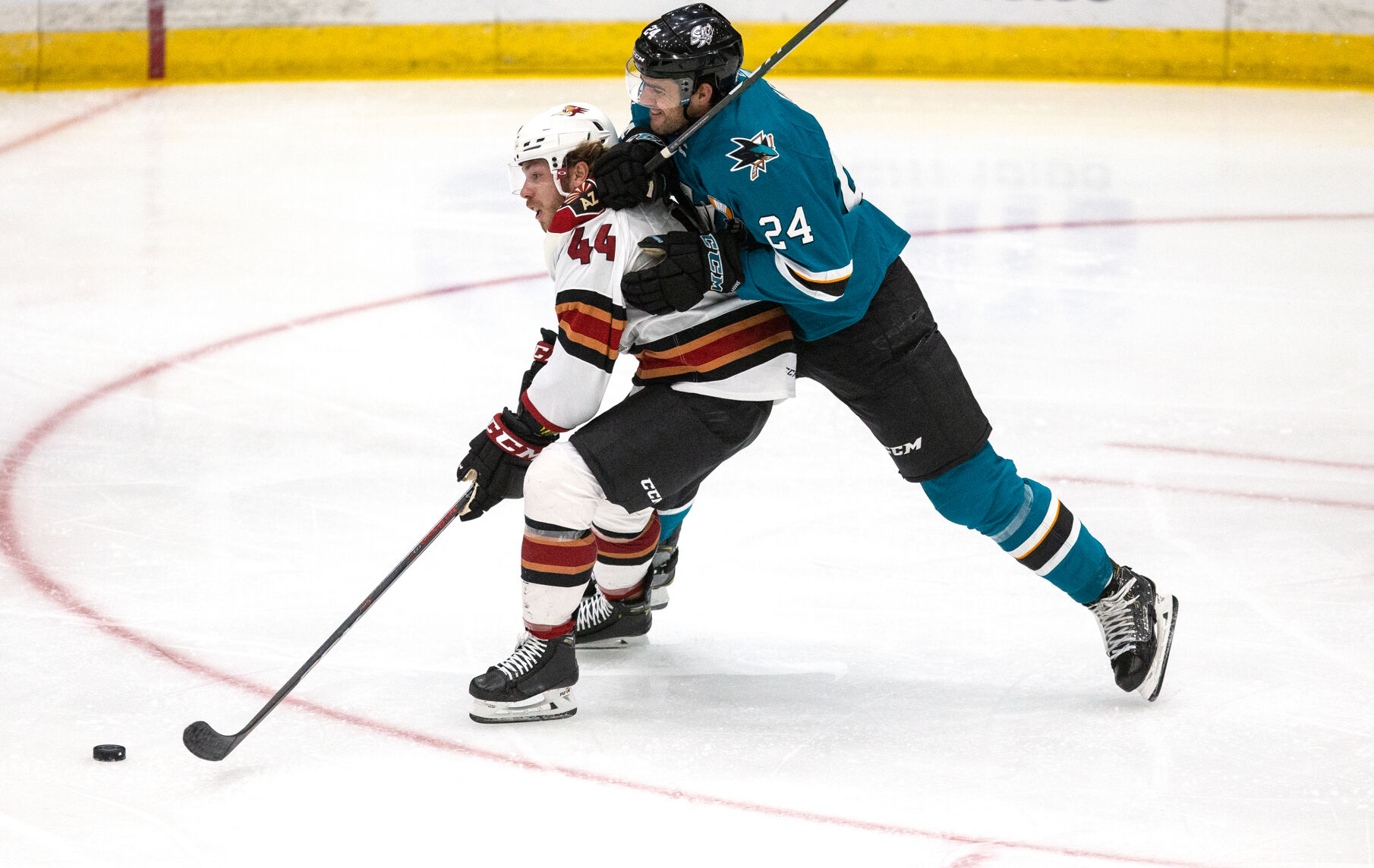 Roadrunners Vs Barracuda
